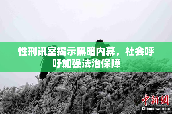 性刑讯室揭示黑暗内幕，社会呼吁加强法治保障