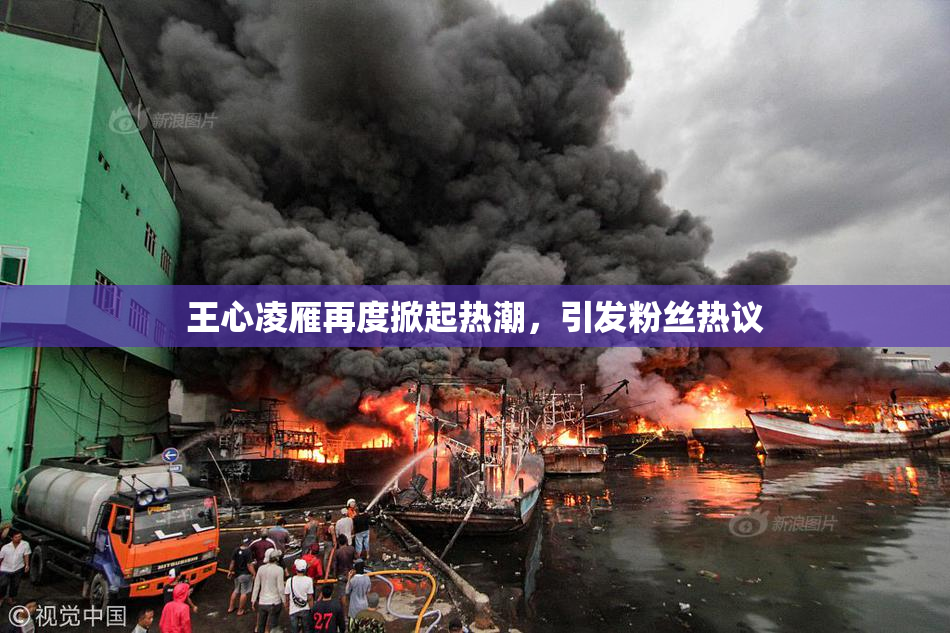 王心凌雁再度掀起热潮，引发粉丝热议