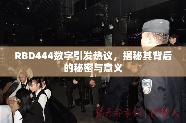 RBD444数字引发热议，揭秘其背后的秘密与意义