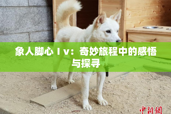 象人脚心Ⅰv：奇妙旅程中的感悟与探寻