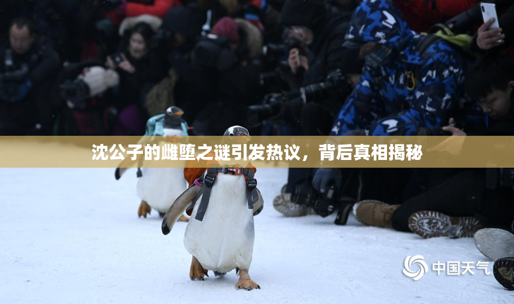 沈公子的雌堕之谜引发热议，背后真相揭秘