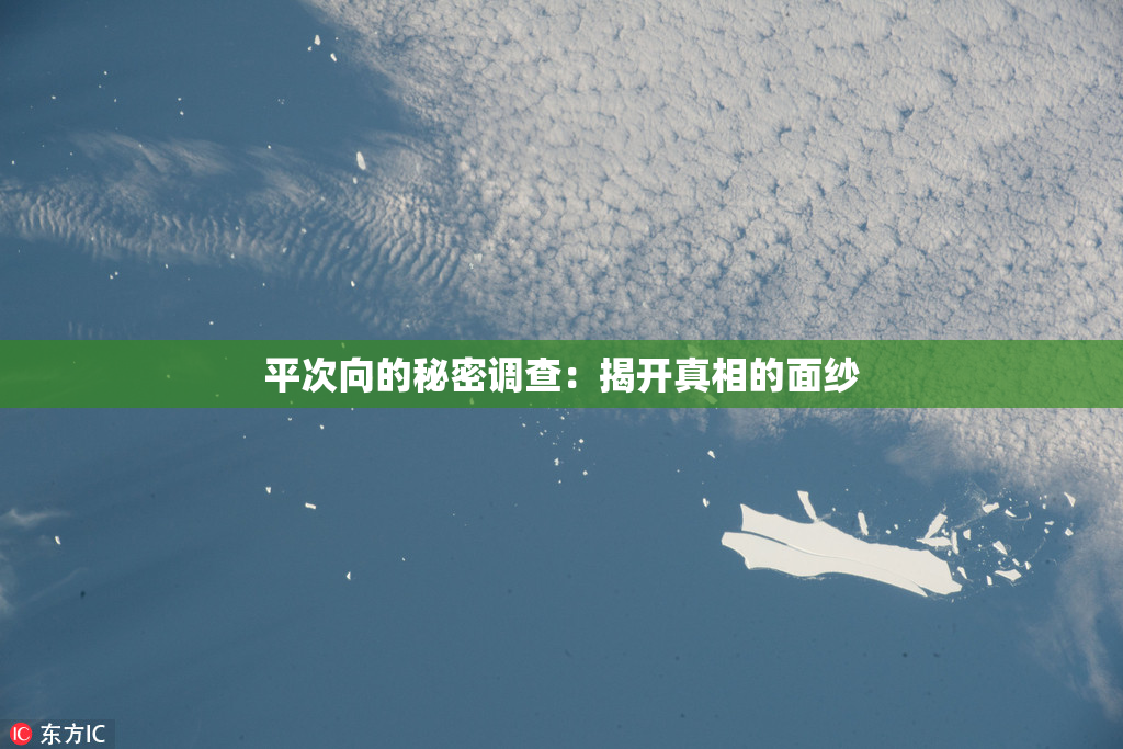平次向的秘密调查：揭开真相的面纱