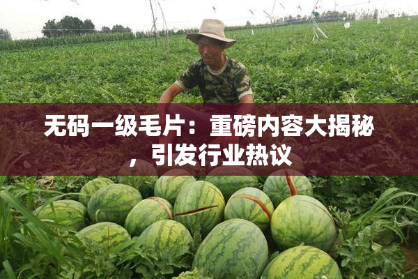 无码一级毛片：重磅内容大揭秘，引发行业热议