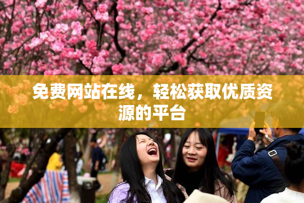 免费网站在线，轻松获取优质资源的平台