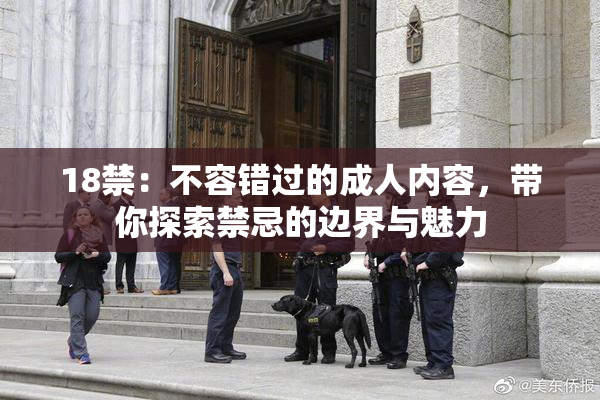 18禁：不容错过的成人内容，带你探索禁忌的边界与魅力