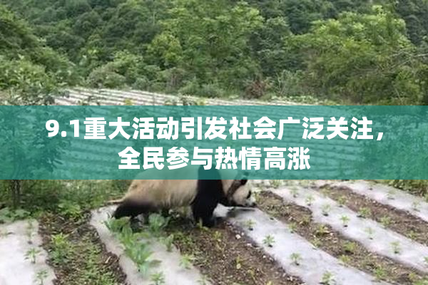 9.1重大活动引发社会广泛关注，全民参与热情高涨