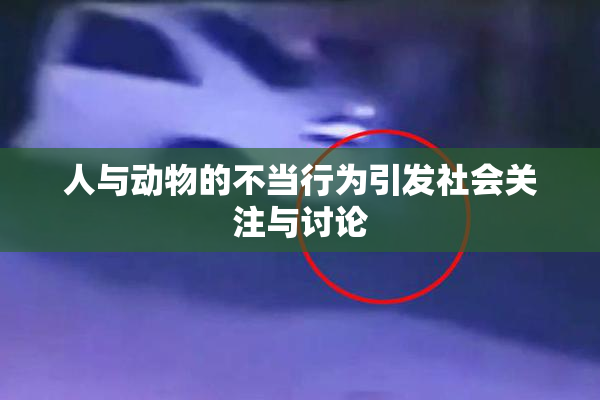 人与动物的不当行为引发社会关注与讨论