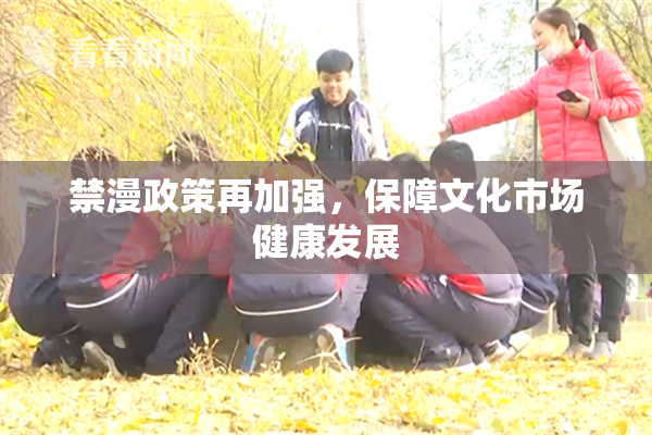 禁漫政策再加强，保障文化市场健康发展