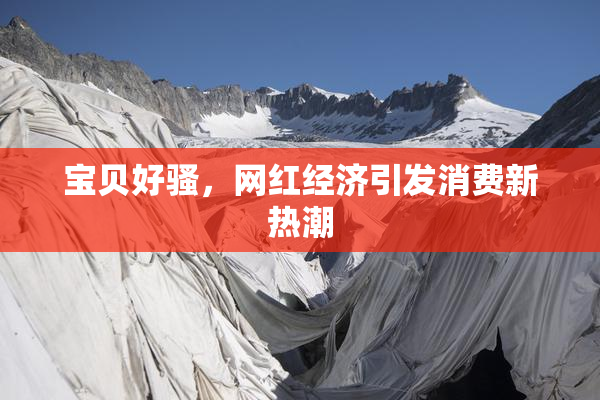 宝贝好骚，网红经济引发消费新热潮