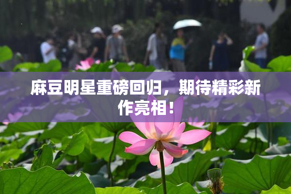 麻豆明星重磅回归，期待精彩新作亮相！