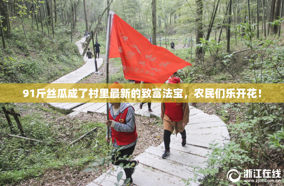 91斤丝瓜成了村里最新的致富法宝，农民们乐开花！