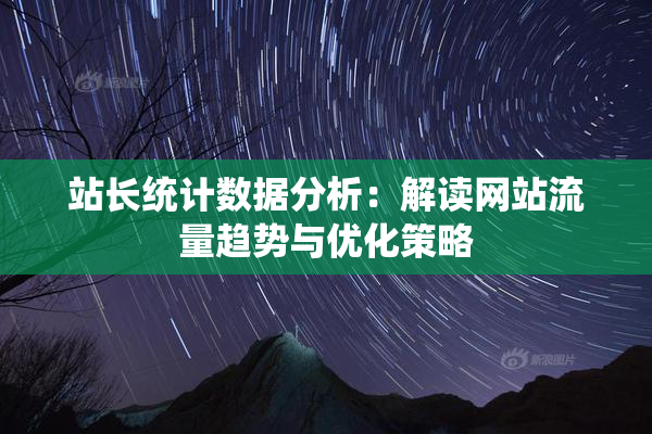 站长统计数据分析：解读网站流量趋势与优化策略