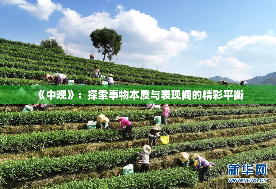 《中观》：探索事物本质与表现间的精彩平衡