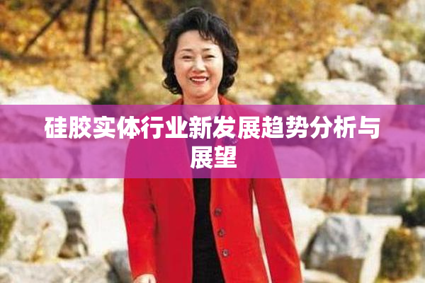硅胶实体行业新发展趋势分析与展望