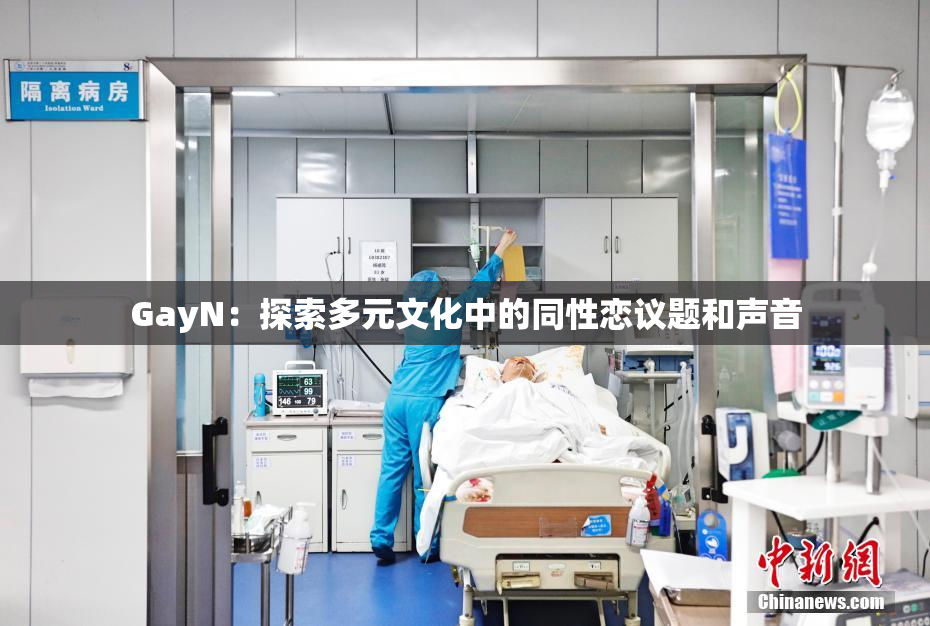 GayN：探索多元文化中的同性恋议题和声音