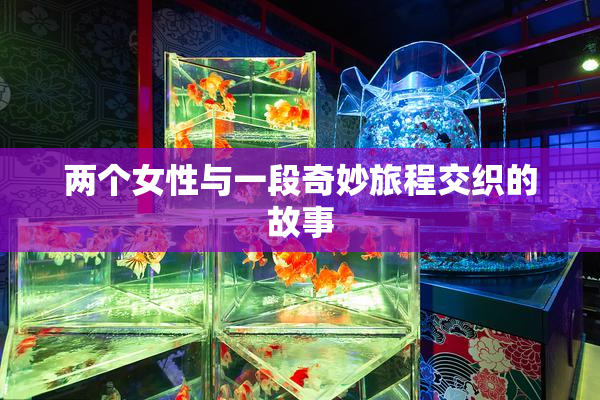 两个女性与一段奇妙旅程交织的故事