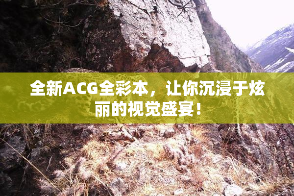 全新ACG全彩本，让你沉浸于炫丽的视觉盛宴！