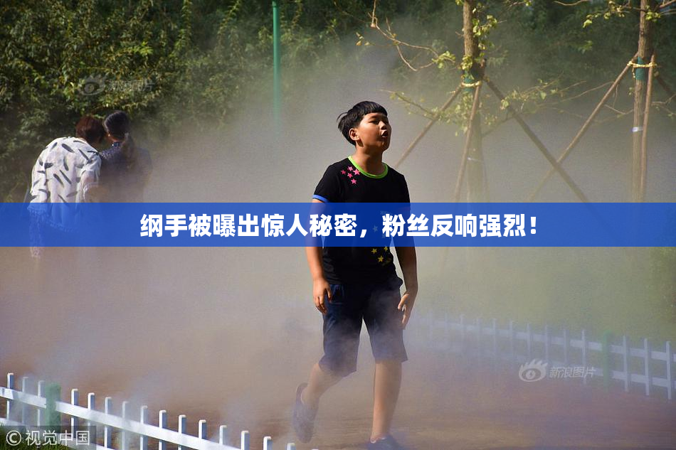纲手被曝出惊人秘密，粉丝反响强烈！