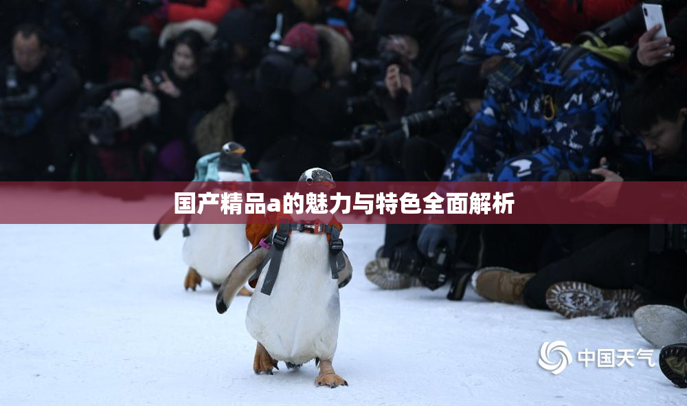 国产精品a的魅力与特色全面解析