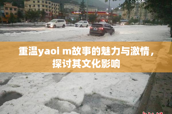 重温yaoi m故事的魅力与激情，探讨其文化影响