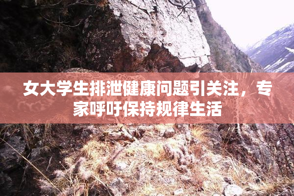 女大学生排泄健康问题引关注，专家呼吁保持规律生活