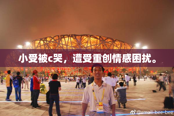 小受被c哭，遭受重创情感困扰。
