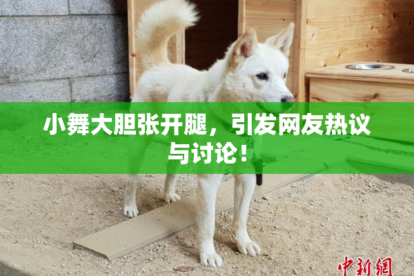 小舞大胆张开腿，引发网友热议与讨论！