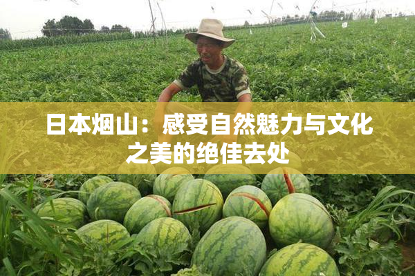日本烟山：感受自然魅力与文化之美的绝佳去处