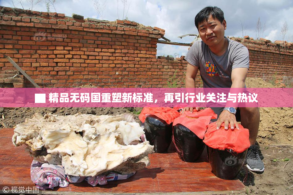 ▇ 精品无码国重塑新标准，再引行业关注与热议