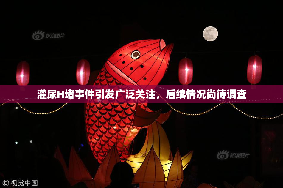 灌尿H堵事件引发广泛关注，后续情况尚待调查