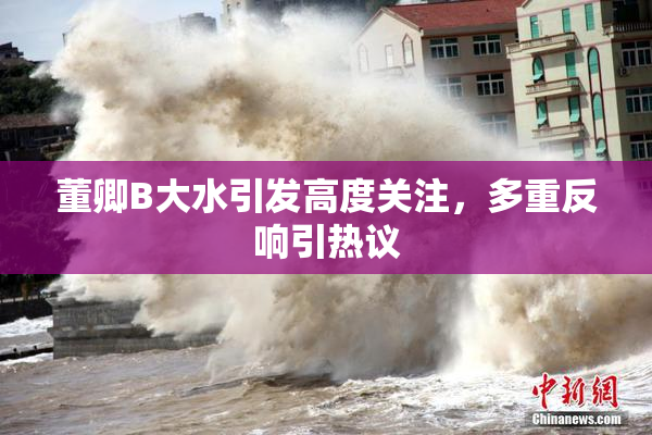 董卿B大水引发高度关注，多重反响引热议