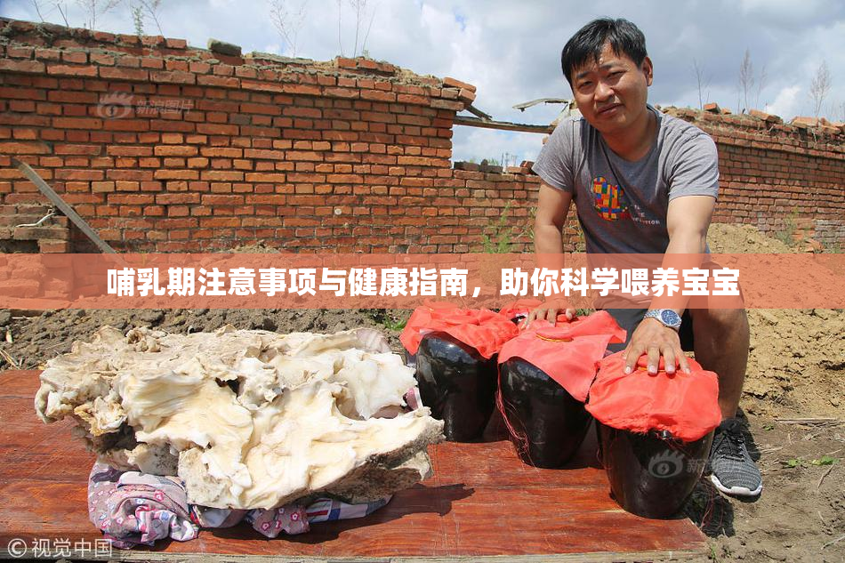 哺乳期注意事项与健康指南，助你科学喂养宝宝