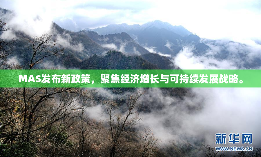 MAS发布新政策，聚焦经济增长与可持续发展战略。