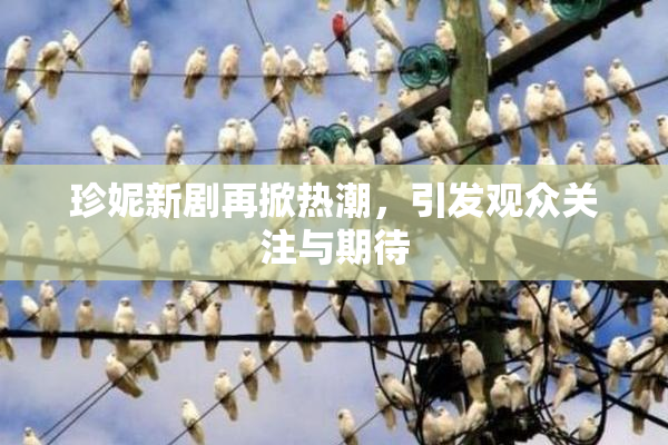 珍妮新剧再掀热潮，引发观众关注与期待