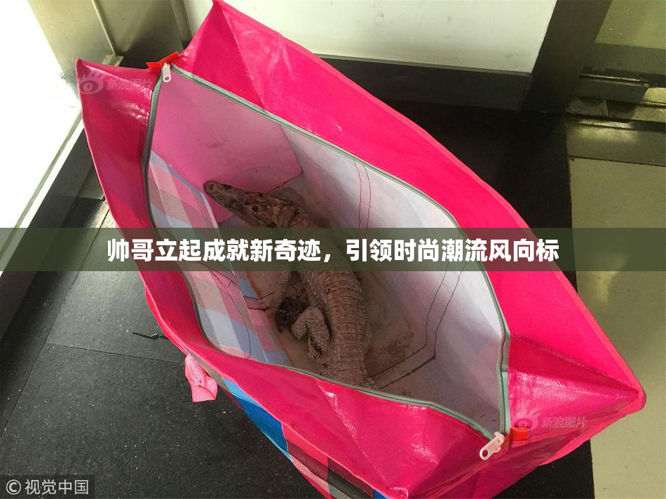 帅哥立起成就新奇迹，引领时尚潮流风向标