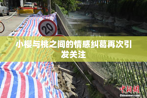 小樱与桃之间的情感纠葛再次引发关注