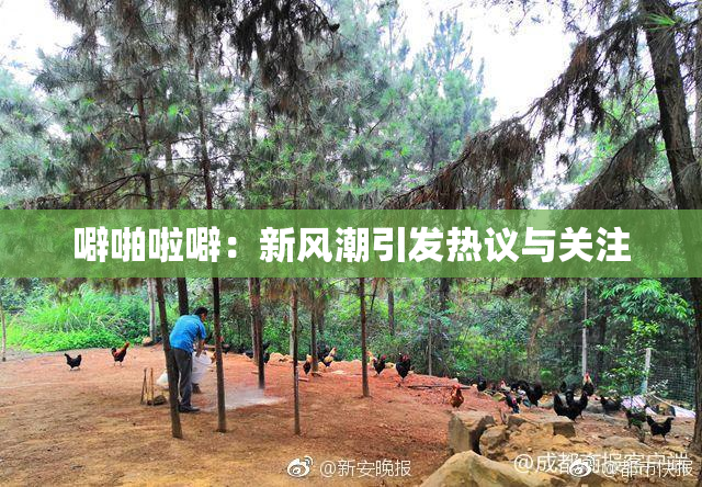 噼啪啦噼：新风潮引发热议与关注