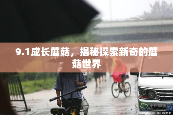 9.1成长蘑菇，揭秘探索新奇的蘑菇世界