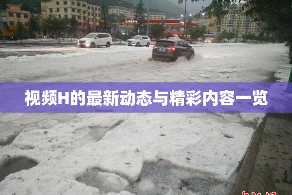 视频H的最新动态与精彩内容一览
