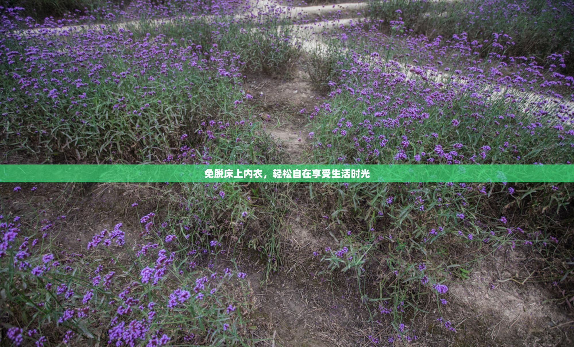 免脱床上内衣，轻松自在享受生活时光