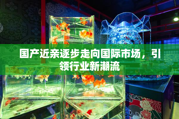 国产近亲逐步走向国际市场，引领行业新潮流