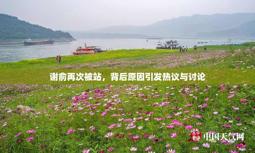 谢俞再次被站，背后原因引发热议与讨论