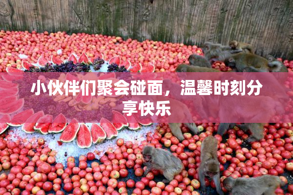 小伙伴们聚会碰面，温馨时刻分享快乐