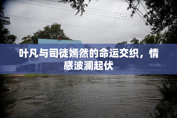 叶凡与司徒嫣然的命运交织，情感波澜起伏