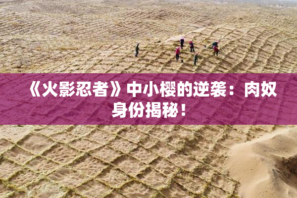 《火影忍者》中小樱的逆袭：肉奴身份揭秘！
