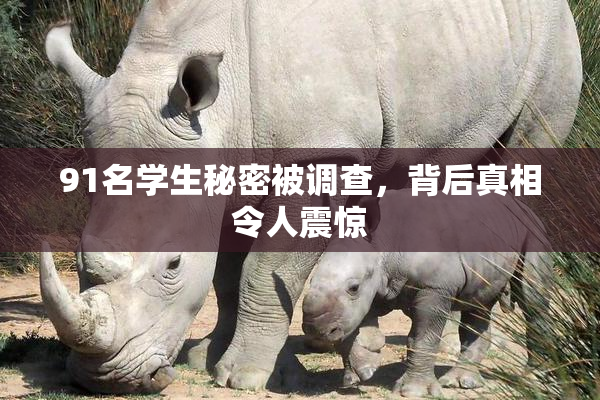 91名学生秘密被调查，背后真相令人震惊