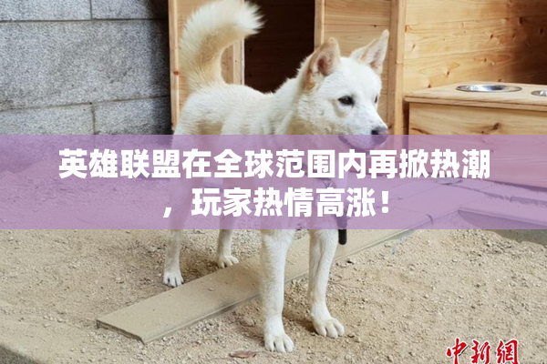 英雄联盟在全球范围内再掀热潮，玩家热情高涨！