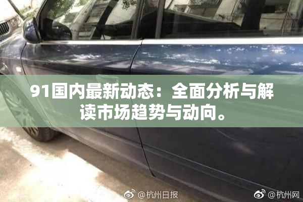 91国内最新动态：全面分析与解读市场趋势与动向。
