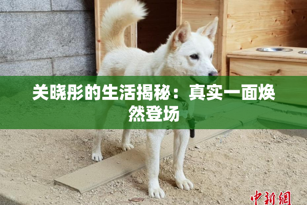 关晓彤的生活揭秘：真实一面焕然登场