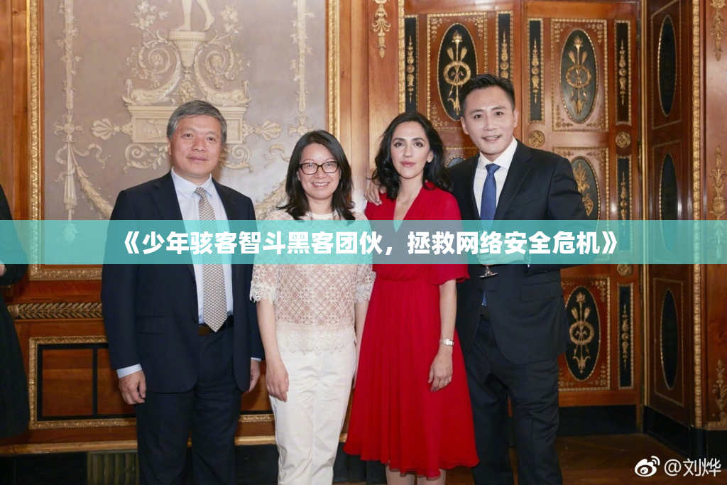 《少年骇客智斗黑客团伙，拯救网络安全危机》